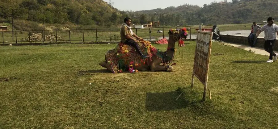 Camel ride at Tikkar Taal