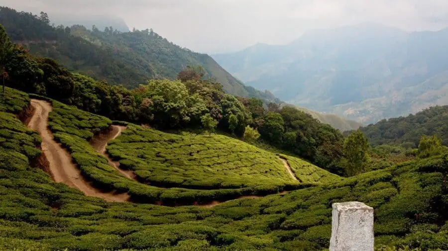 Best time to visit Munnar