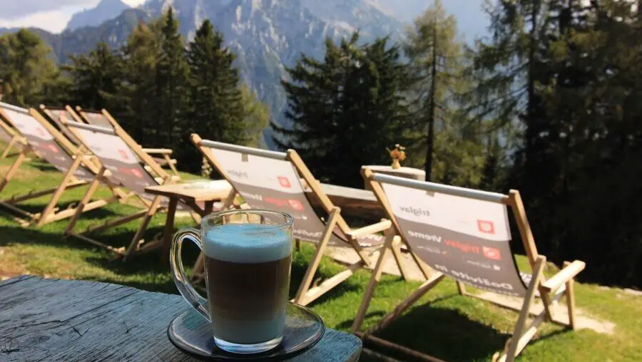 Best Cafes In Manali (Himachal Pradesh) With Live Music