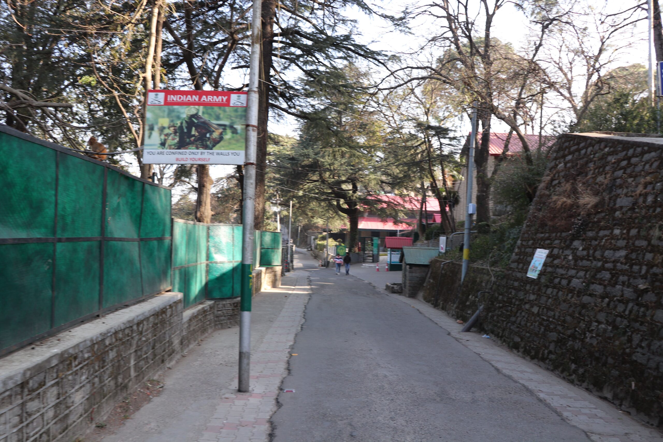 Which is better kasauli or morni hills