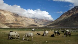 Pathankot to Chamba Bus