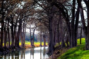 Cypress Hills Interprovincial Park)