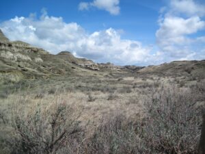 Dinosaur Provincial Park, Alberta