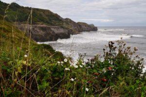 Robin hood's bay