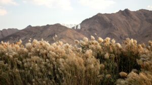 Hatta Dubai's Hidden Gem