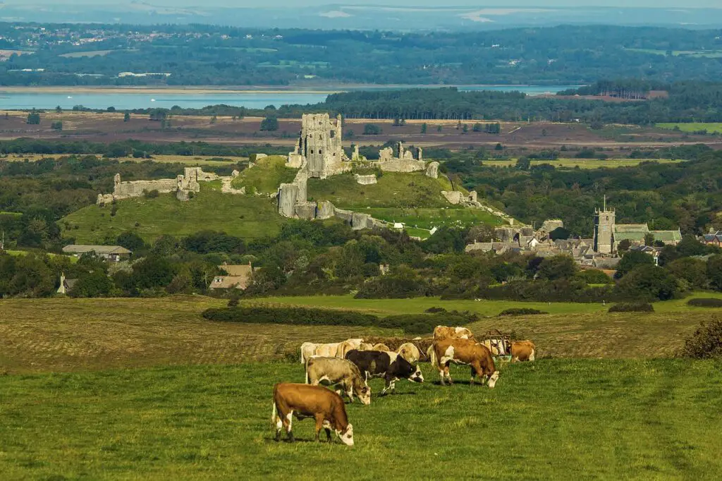 Corfe Castle