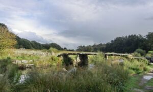 Dartmoor National Park