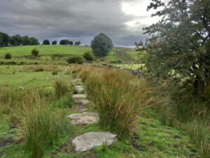 Exmoor to Dartmoor Walk